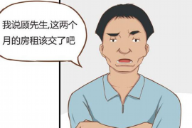 港南专业讨债公司有哪些核心服务？